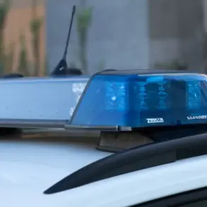 Blaulicht-Balken auf einem Streifenwagen vor einer Hauswand