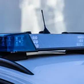 Blaulicht-Balken auf dem Dach eines Streifenwagens