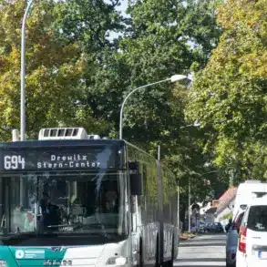 Linienbus 694 Richtung Drewitz/Stern-Center in einer baumgesäumten Straße