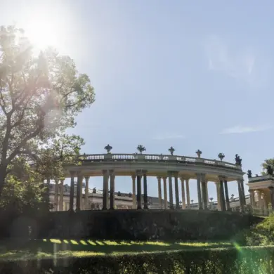 Kolonnade am Neuen Palais mit Baum im Gegenlicht